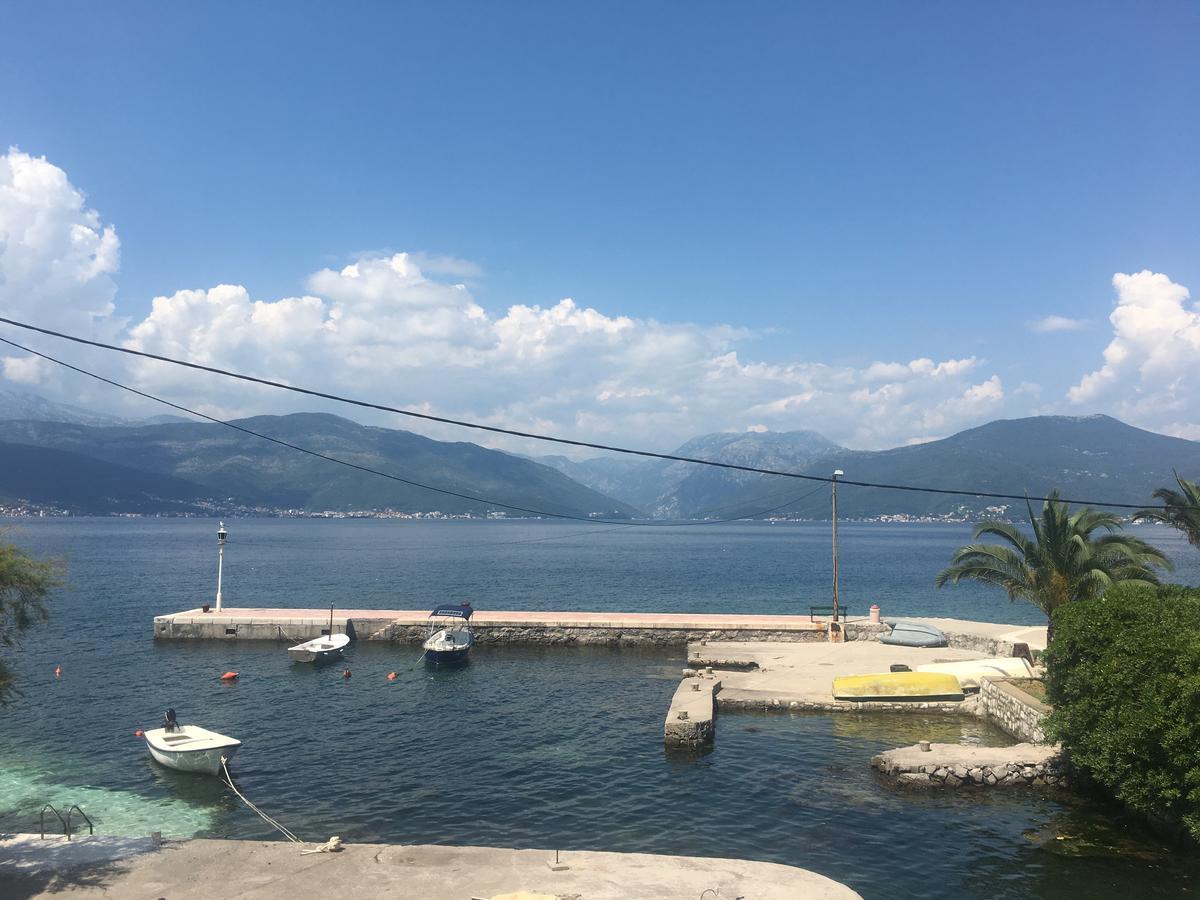 Apartman Krasici